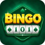 Bingo 101