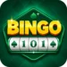 Bingo 101
