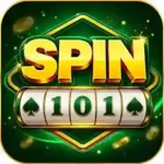 Spin 101