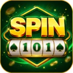Spin 101