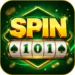 Spin 101