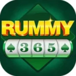 Rummy 365 Apk